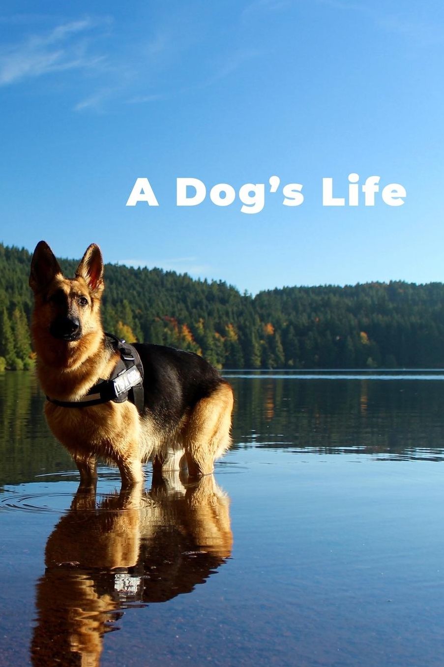 A Dog's Life: A page numbered, lined journal with table of contents