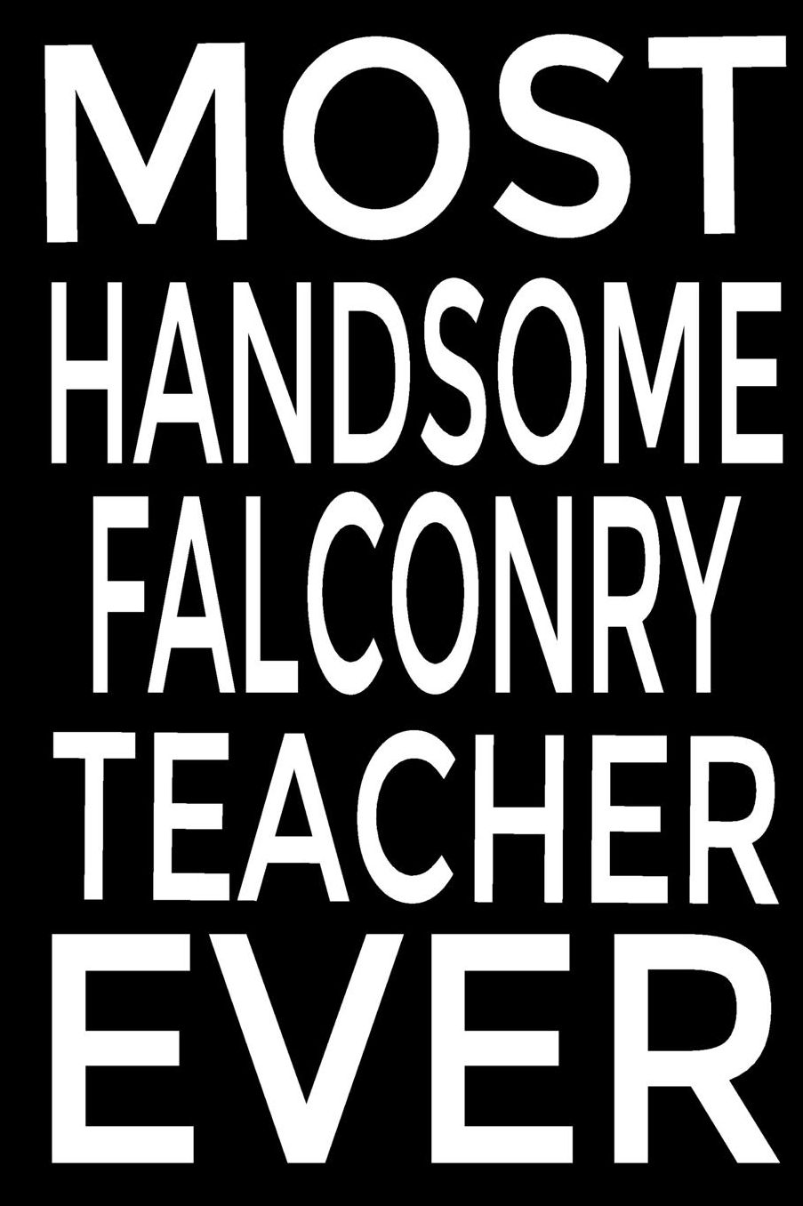 Most Handsome falconry teacher ever: Keep track of your falconry adventures Composition Book / Notebook / Journal ( 6 x 9 ), College Ruled / Lined Paper, for Falconry Enthusiasts Blank Lined Notebook Journal Gift Idea