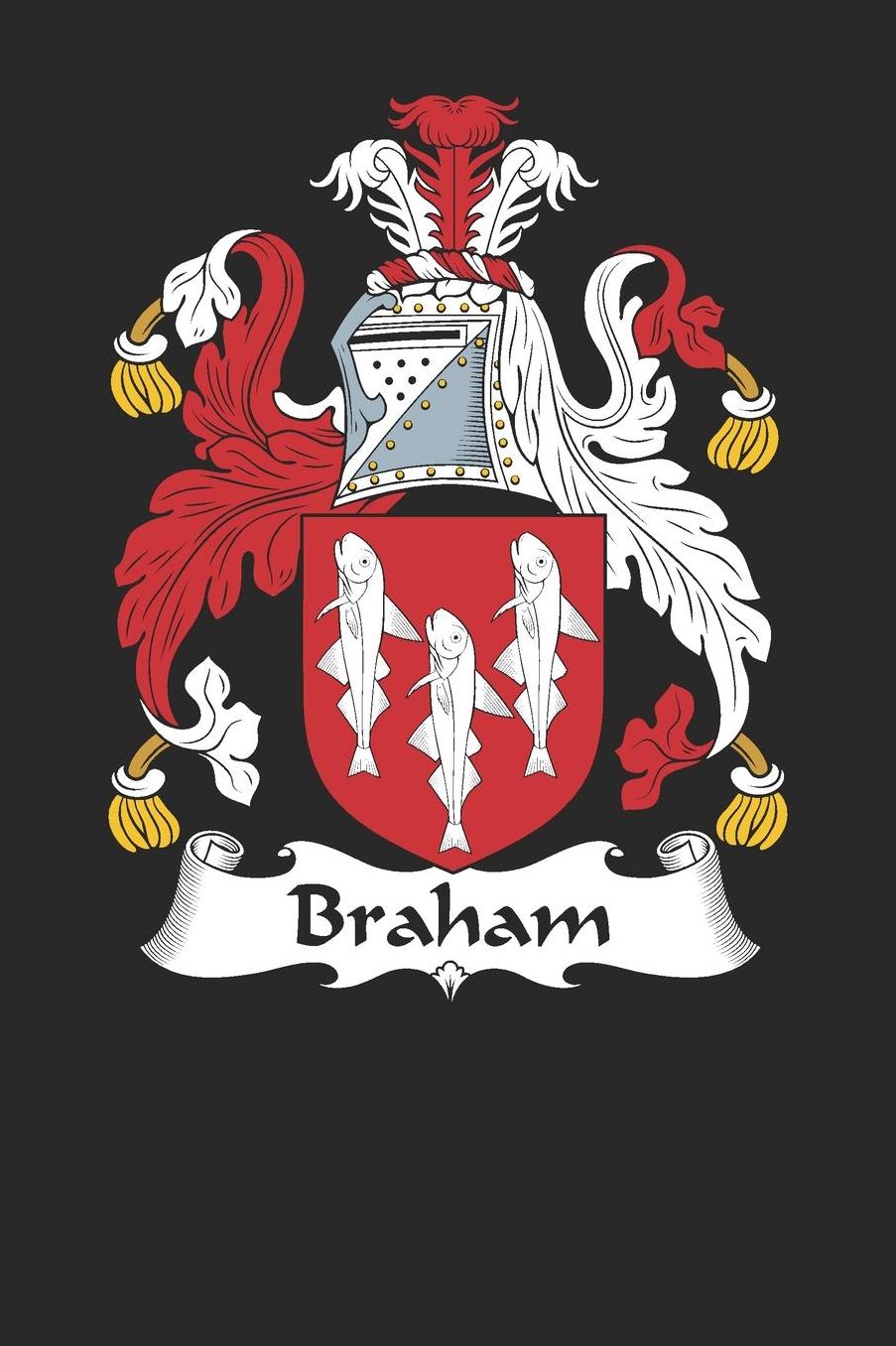 Braham: Braham Coat of Arms and Family Crest Notebook Journal (6 x 9 - 100 pages)