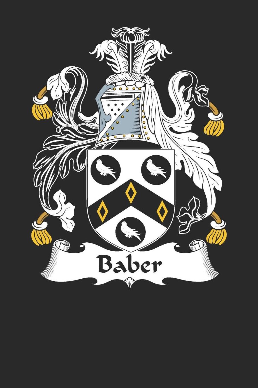 Baber: Baber Coat of Arms and Family Crest Notebook Journal (6 x 9 - 100 pages)
