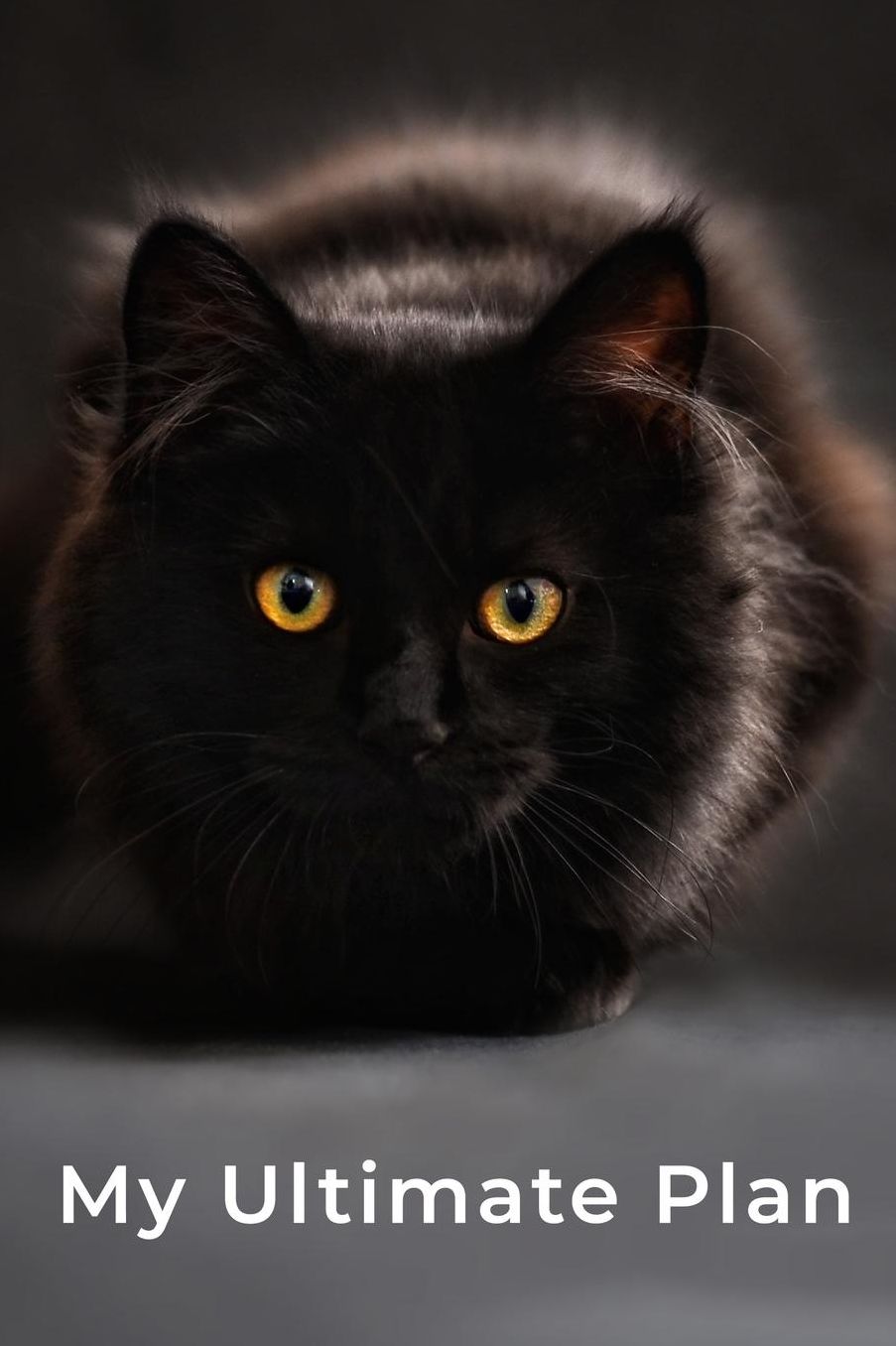 My Ultimate Plan: A page numbered, lined journal with table of contents and a black cat
