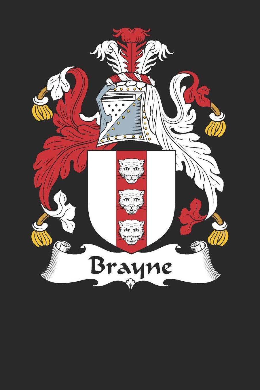 Brayne: Brayne Coat of Arms and Family Crest Notebook Journal (6 x 9 - 100 pages)