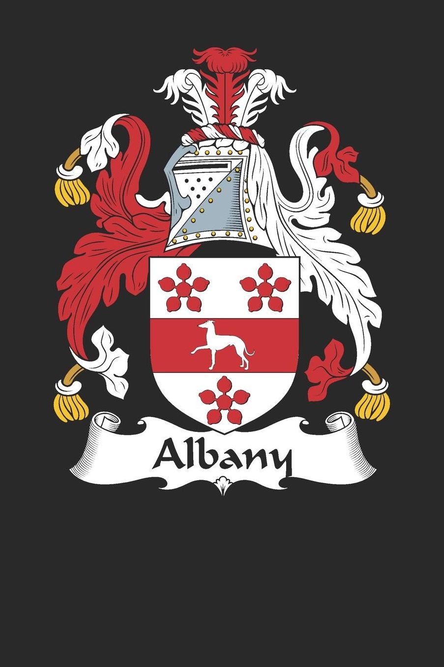Albany: Albany Coat of Arms and Family Crest Notebook Journal (6 x 9 - 100 pages)