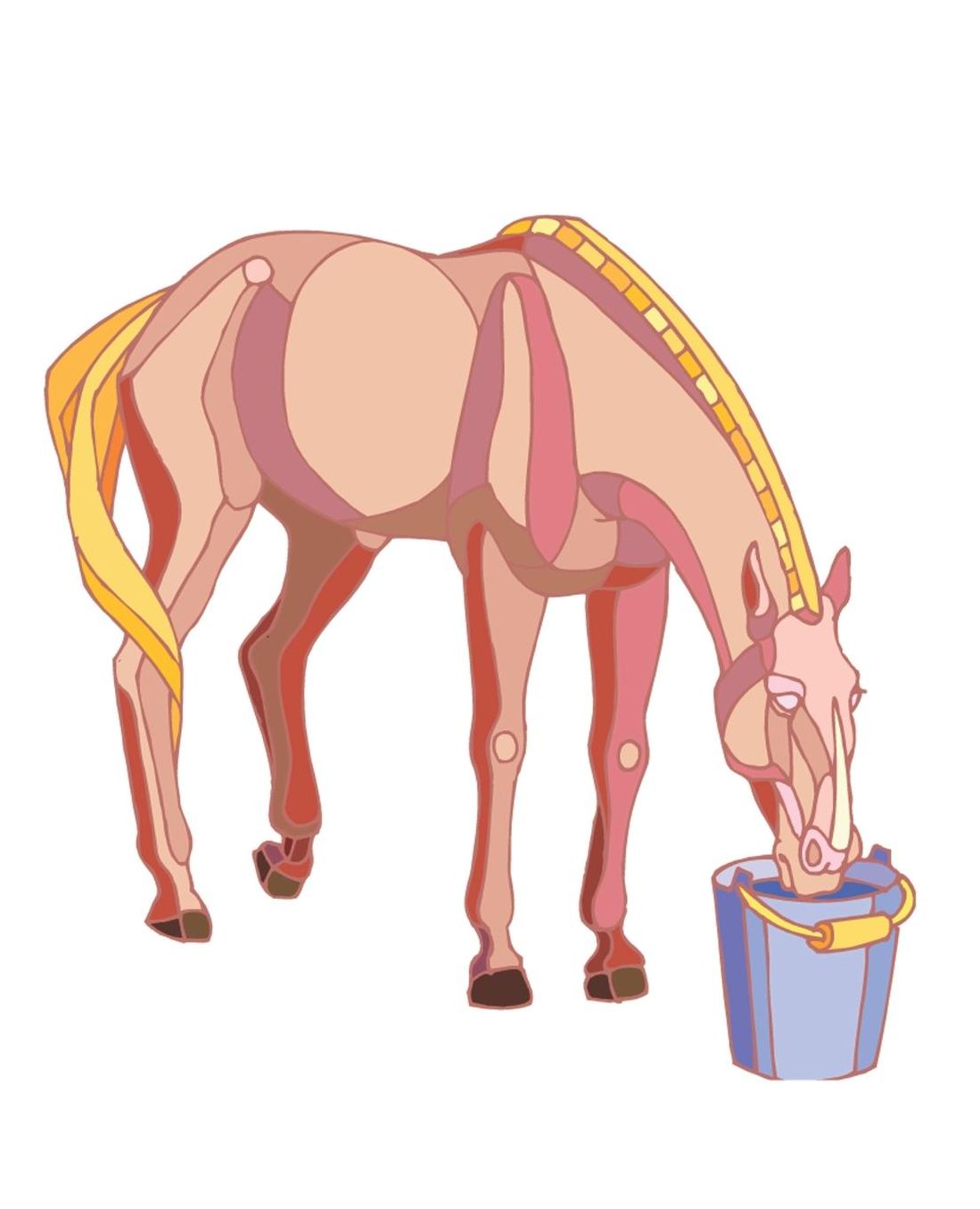 Horse Illustration School Composition Book Equine Horse Drinking From Bucket: Horse Picture Equine Covers Composition Books Notebooks (Notebook, Diary, Blank Book)
