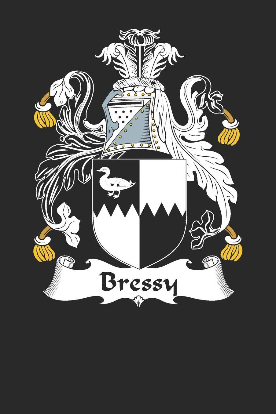 Bressy: Bressy Coat of Arms and Family Crest Notebook Journal (6 x 9 - 100 pages)