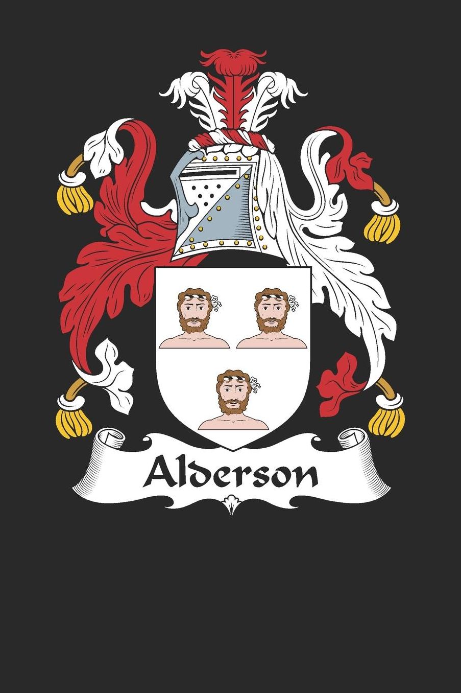 Alderson: Alderson Coat of Arms and Family Crest Notebook Journal (6 x 9 - 100 pages)