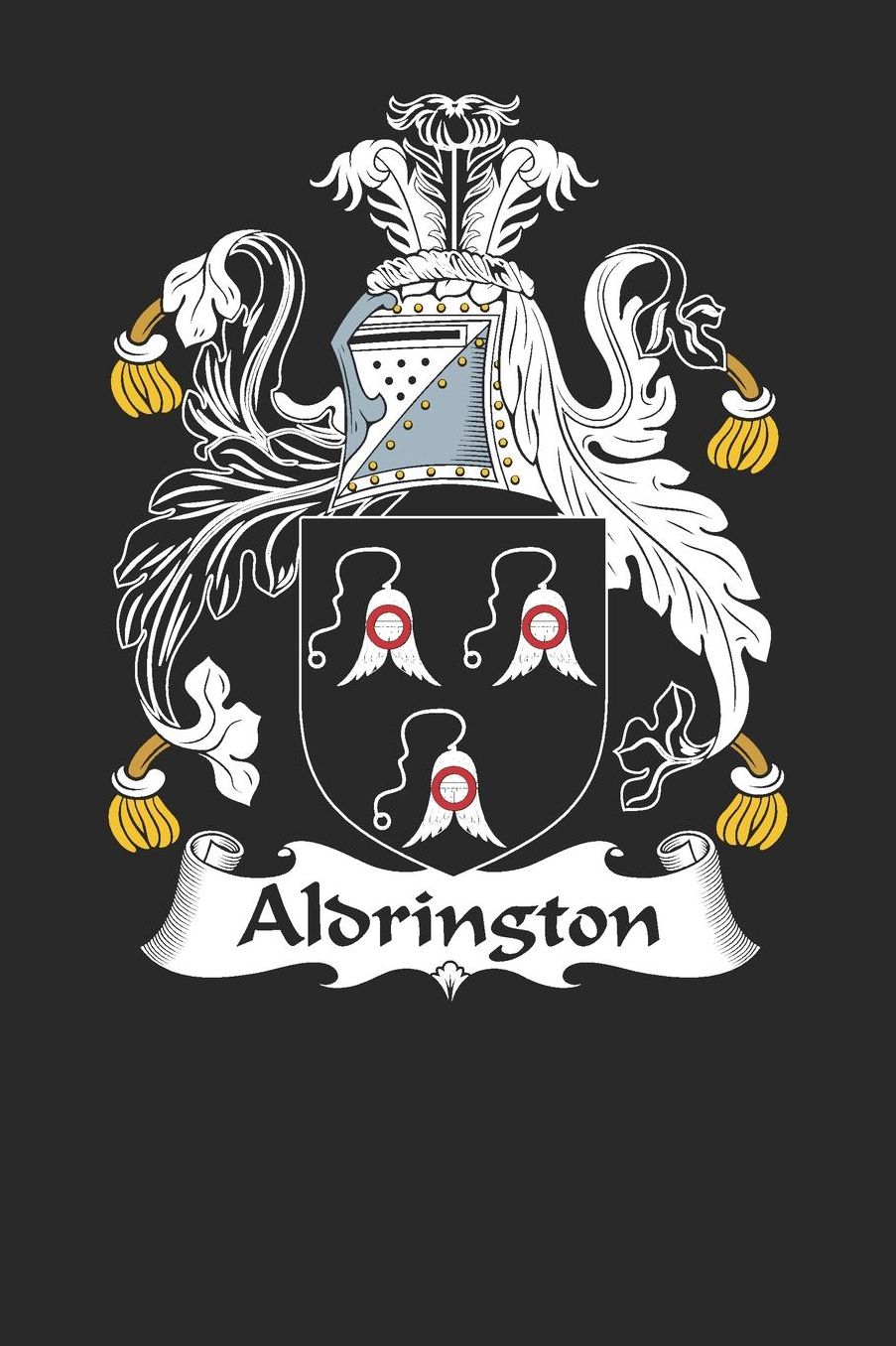 Aldrington: Aldrington Coat of Arms and Family Crest Notebook Journal (6 x 9 - 100 pages)