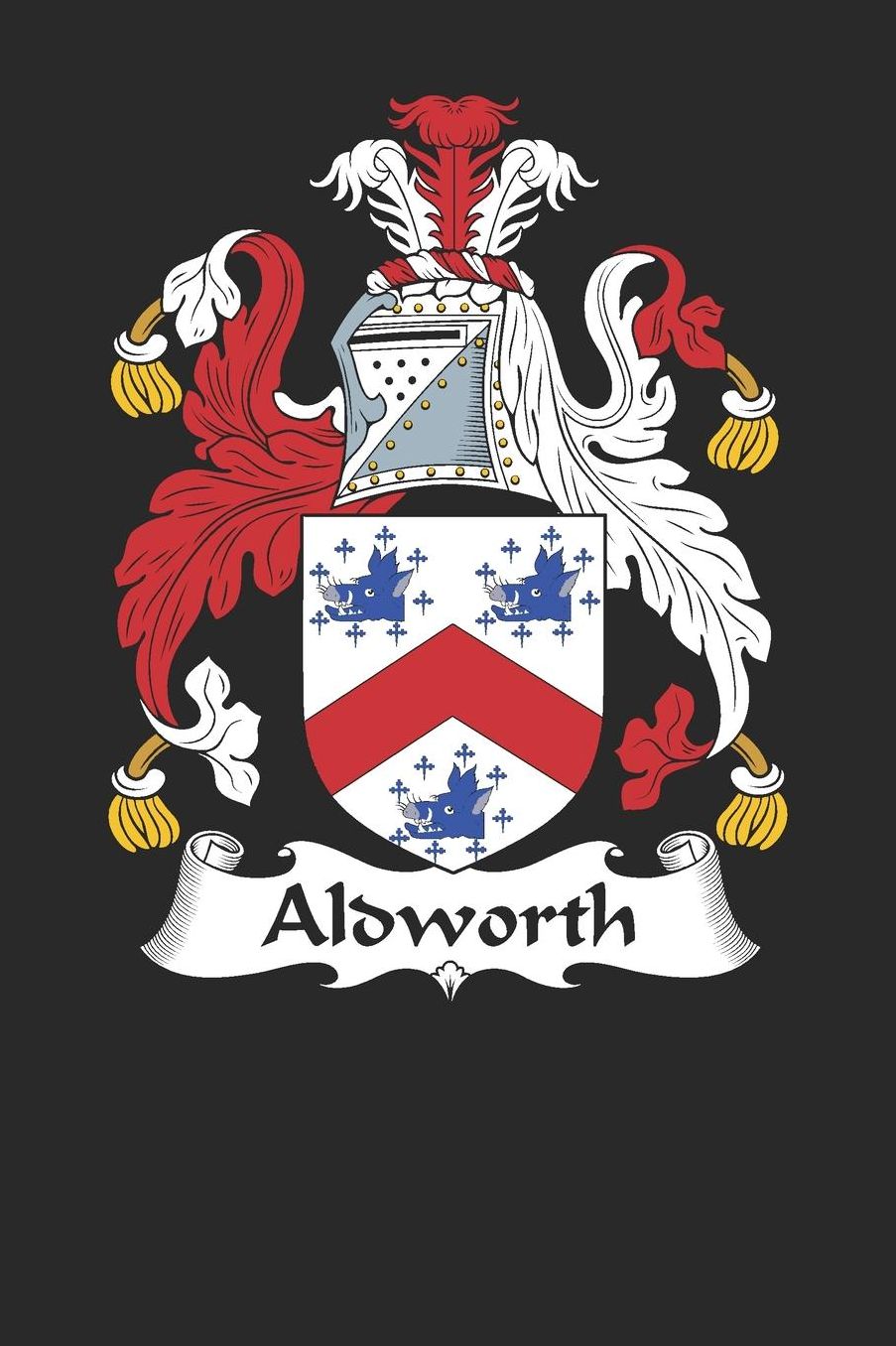 Aldworth: Aldworth Coat of Arms and Family Crest Notebook Journal (6 x 9 - 100 pages)