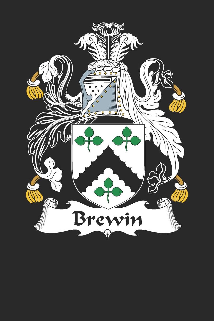 Brewin: Brewin Coat of Arms and Family Crest Notebook Journal (6 x 9 - 100 pages)