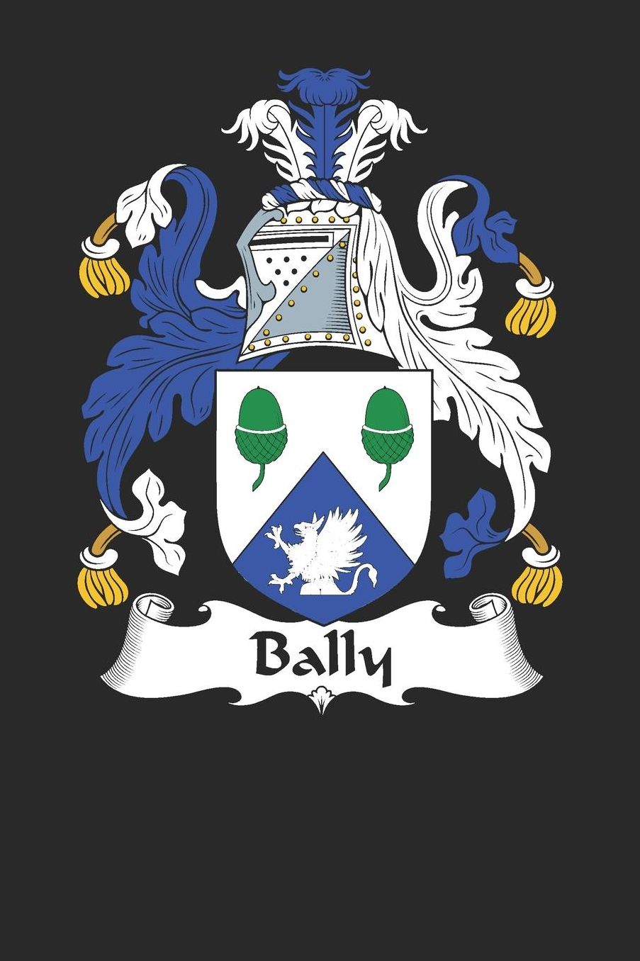 Bally: Bally Coat of Arms and Family Crest Notebook Journal (6 x 9 - 100 pages)
