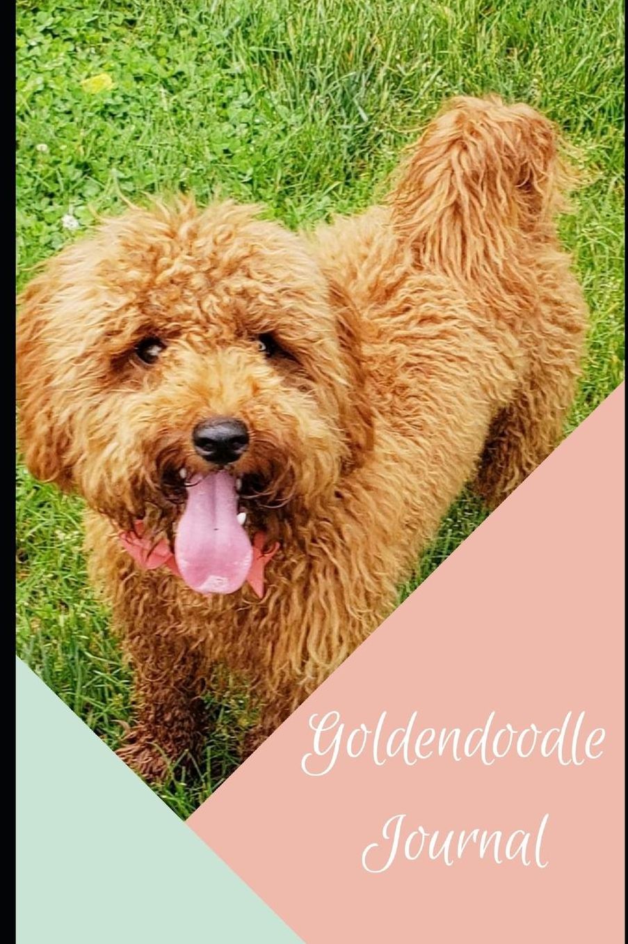 Goldendoodle Journal: 6x9 inch 100 Page Blank Lined Notebook
