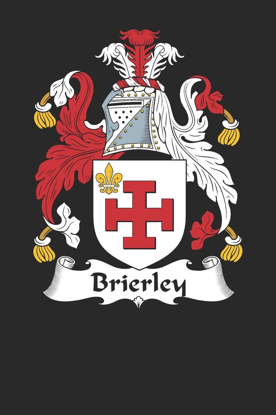 Brierley: Brierley Coat of Arms and Family Crest Notebook Journal (6 x 9 - 100 pages)