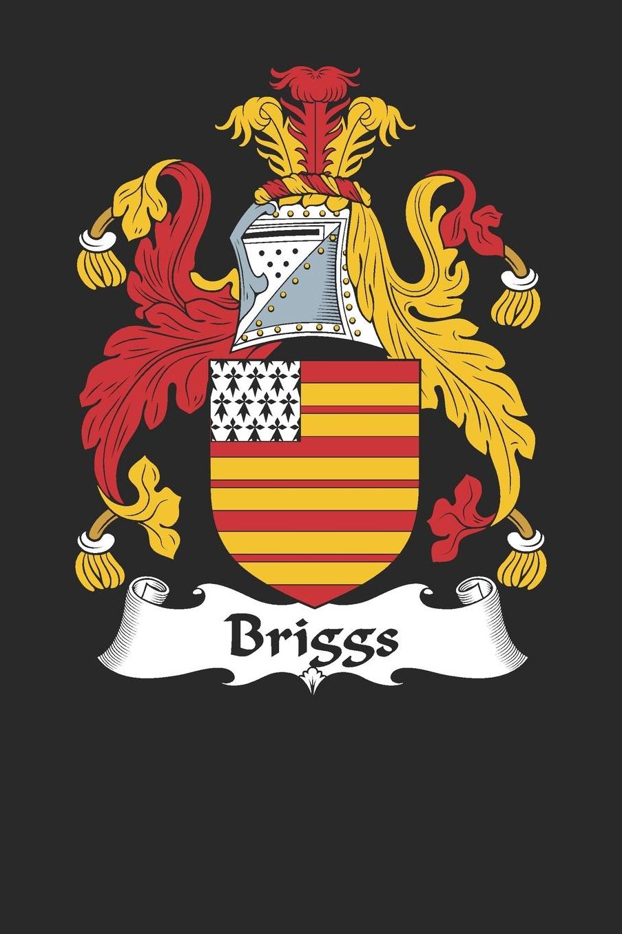 Briggs: Briggs Coat of Arms and Family Crest Notebook Journal (6 x 9 - 100 pages)