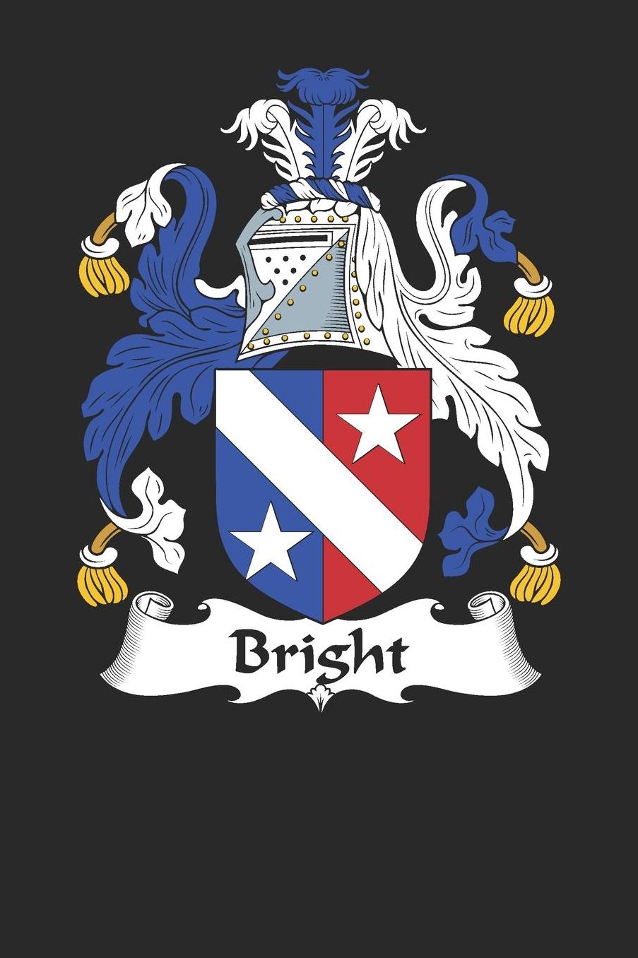 Bright: Bright Coat of Arms and Family Crest Notebook Journal (6 x 9 - 100 pages)