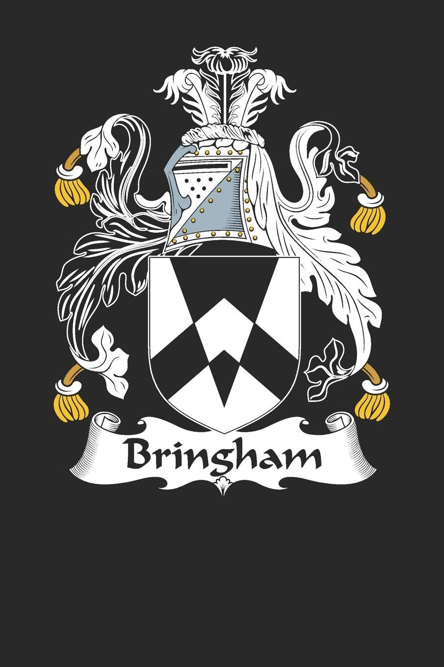 Bringham: Bringham Coat of Arms and Family Crest Notebook Journal (6 x 9 - 100 pages)