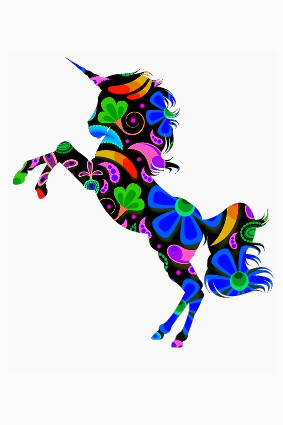 Bright Floral Unicorns: Crossfit Journal