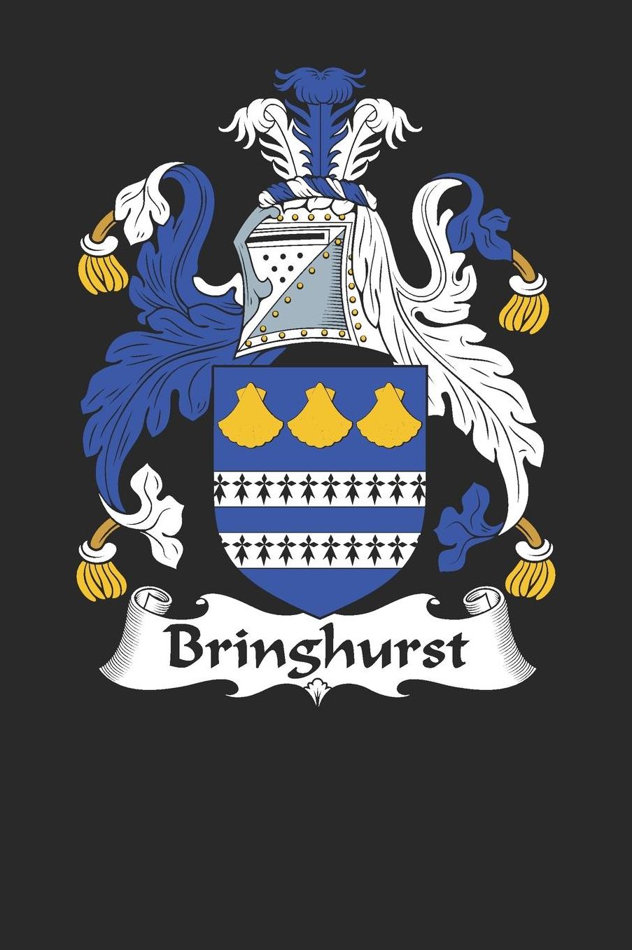 Bringhurst: Bringhurst Coat of Arms and Family Crest Notebook Journal (6 x 9 - 100 pages)