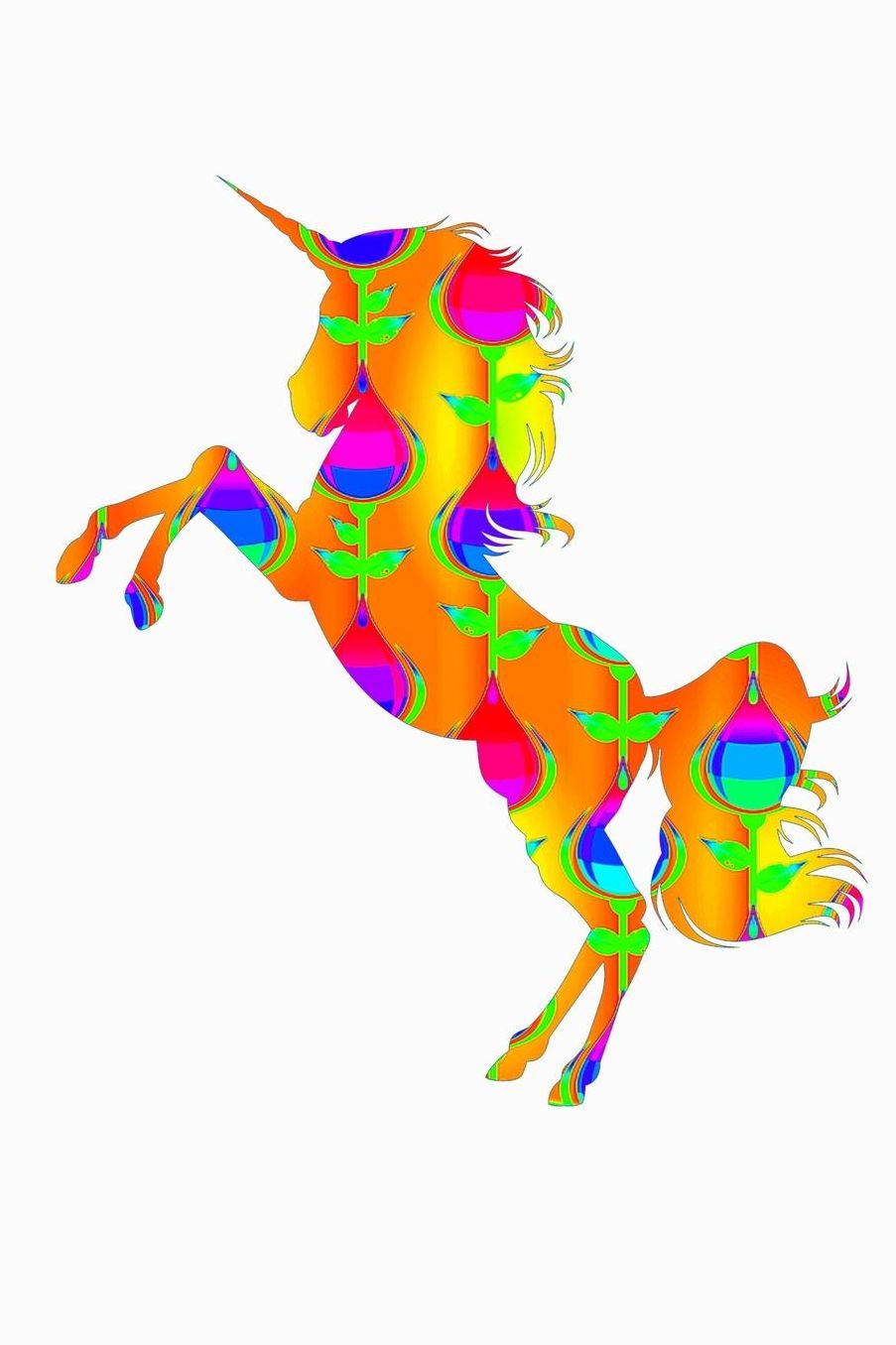 Unicorn: Crossfit Journal