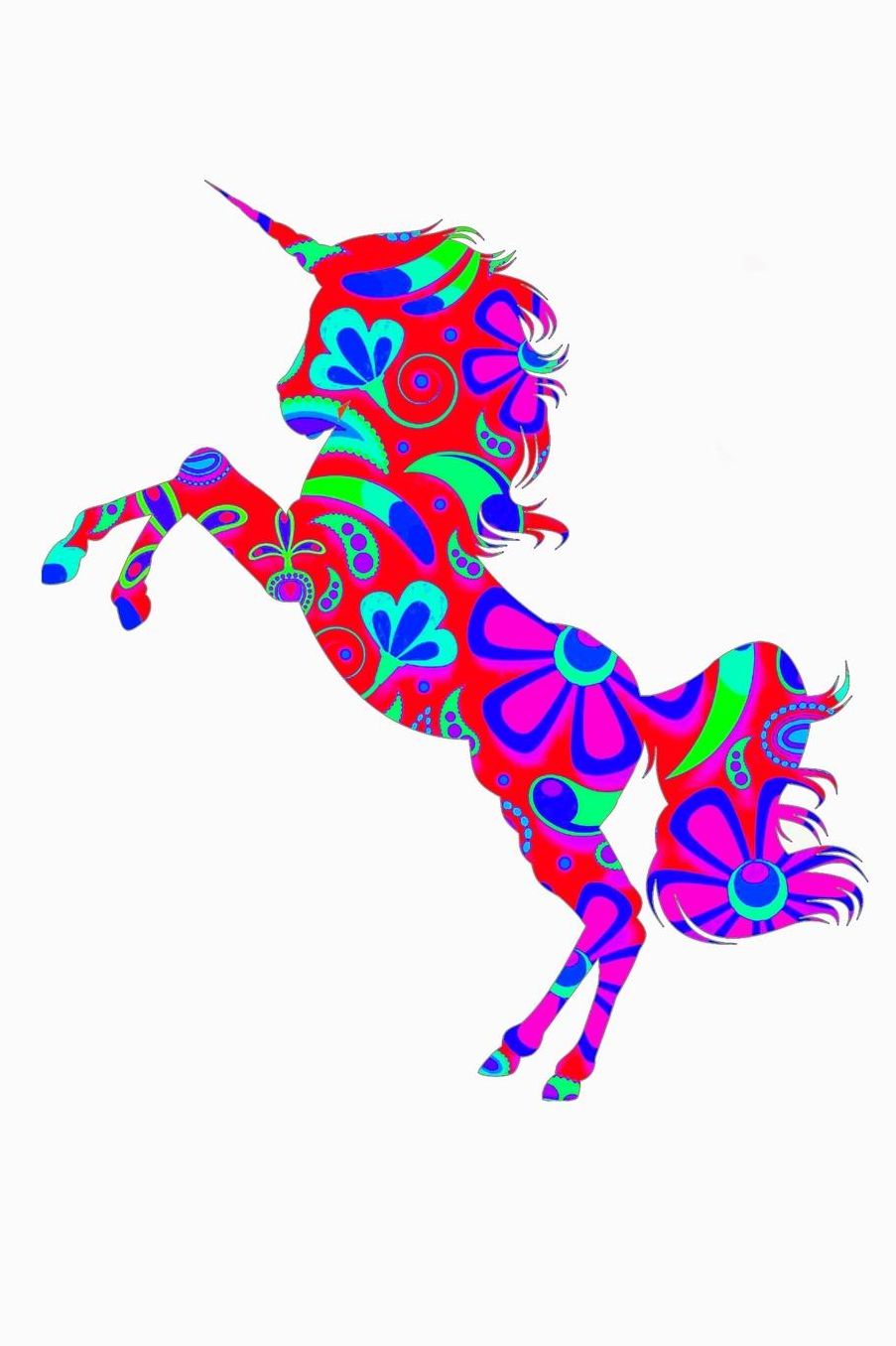 Unicorn: Crossfit Journal
