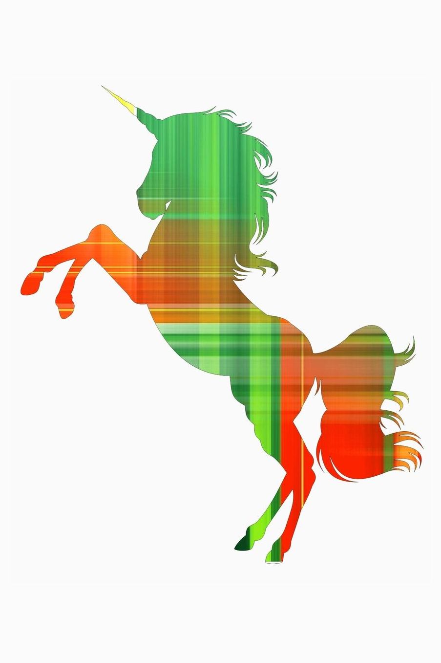 Unicorn: Crossfit Journal