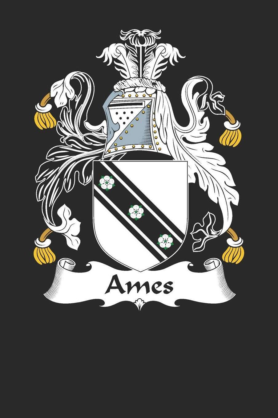 Ames: Ames Coat of Arms and Family Crest Notebook Journal (6 x 9 - 100 pages)