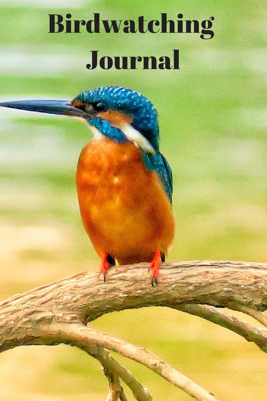 Birdwatching Journal: A5 (6 x 9 Inches) Notebook Journal Diary. High Quality Hand Writing Journal with 100 Pages