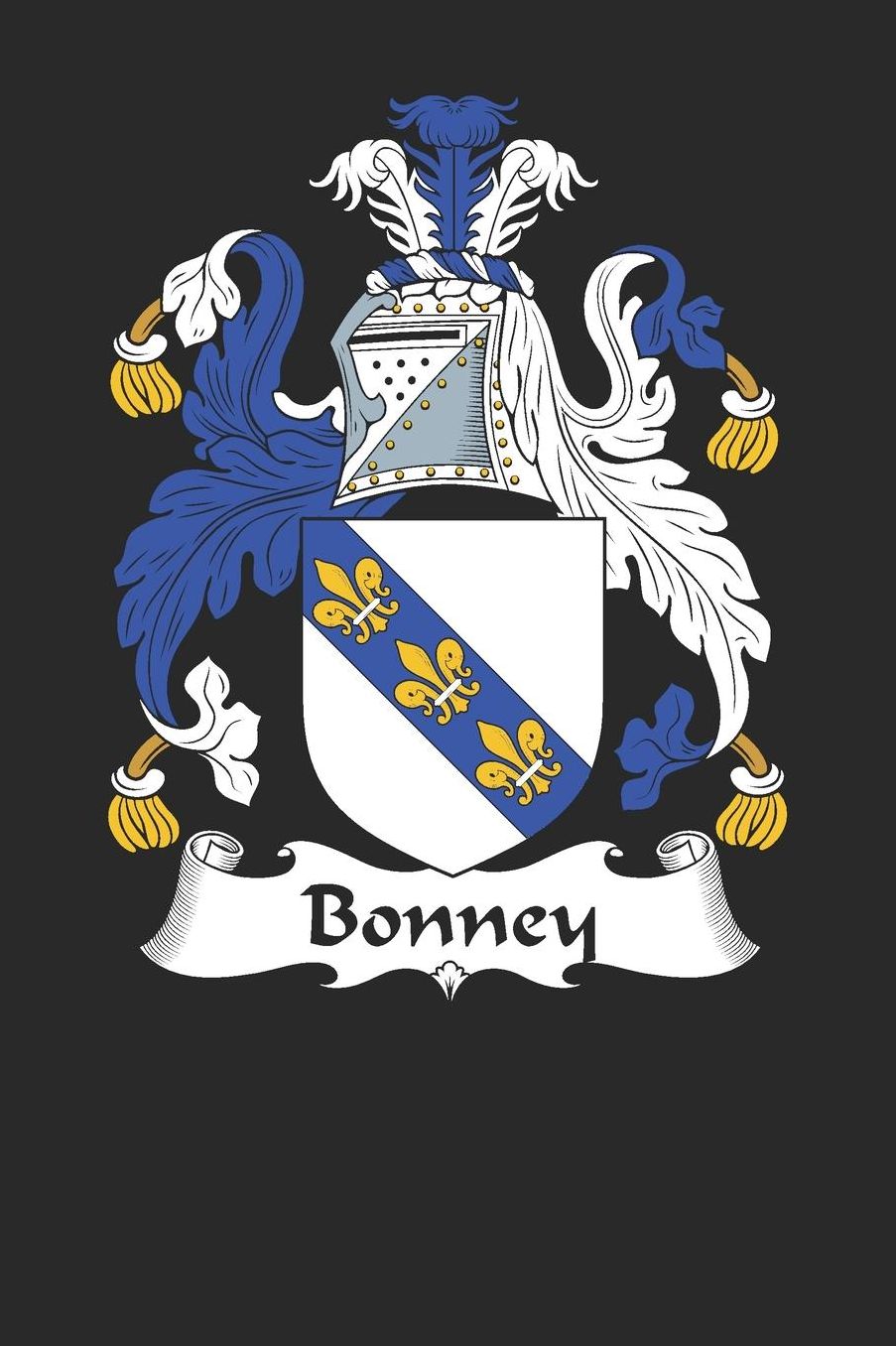 Bonney: Bonney Coat of Arms and Family Crest Notebook Journal (6 x 9 - 100 pages)