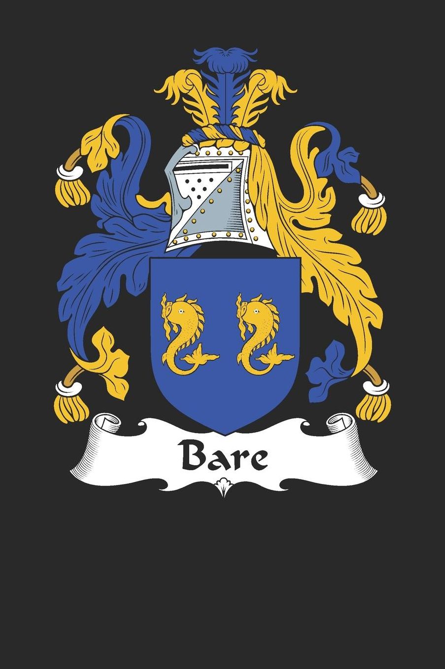 Bare: Bare Coat of Arms and Family Crest Notebook Journal (6 x 9 - 100 pages)