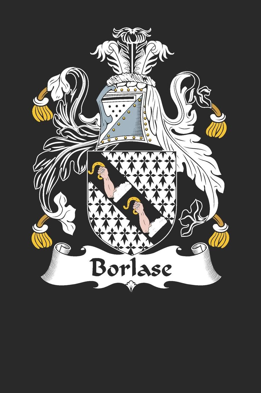 Borlase: Borlase Coat of Arms and Family Crest Notebook Journal (6 x 9 - 100 pages)