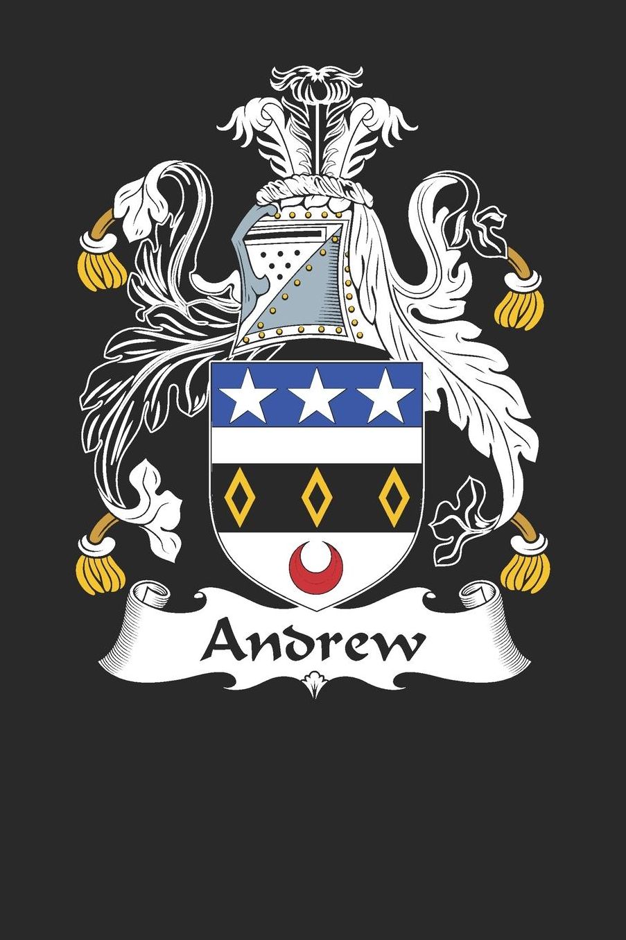 Andrew: Andrew Coat of Arms and Family Crest Notebook Journal (6 x 9 - 100 pages)