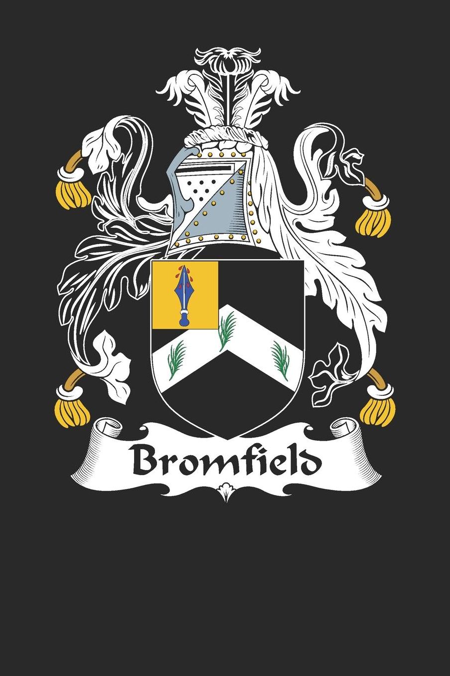 Bromfield: Bromfield Coat of Arms and Family Crest Notebook Journal (6 x 9 - 100 pages)