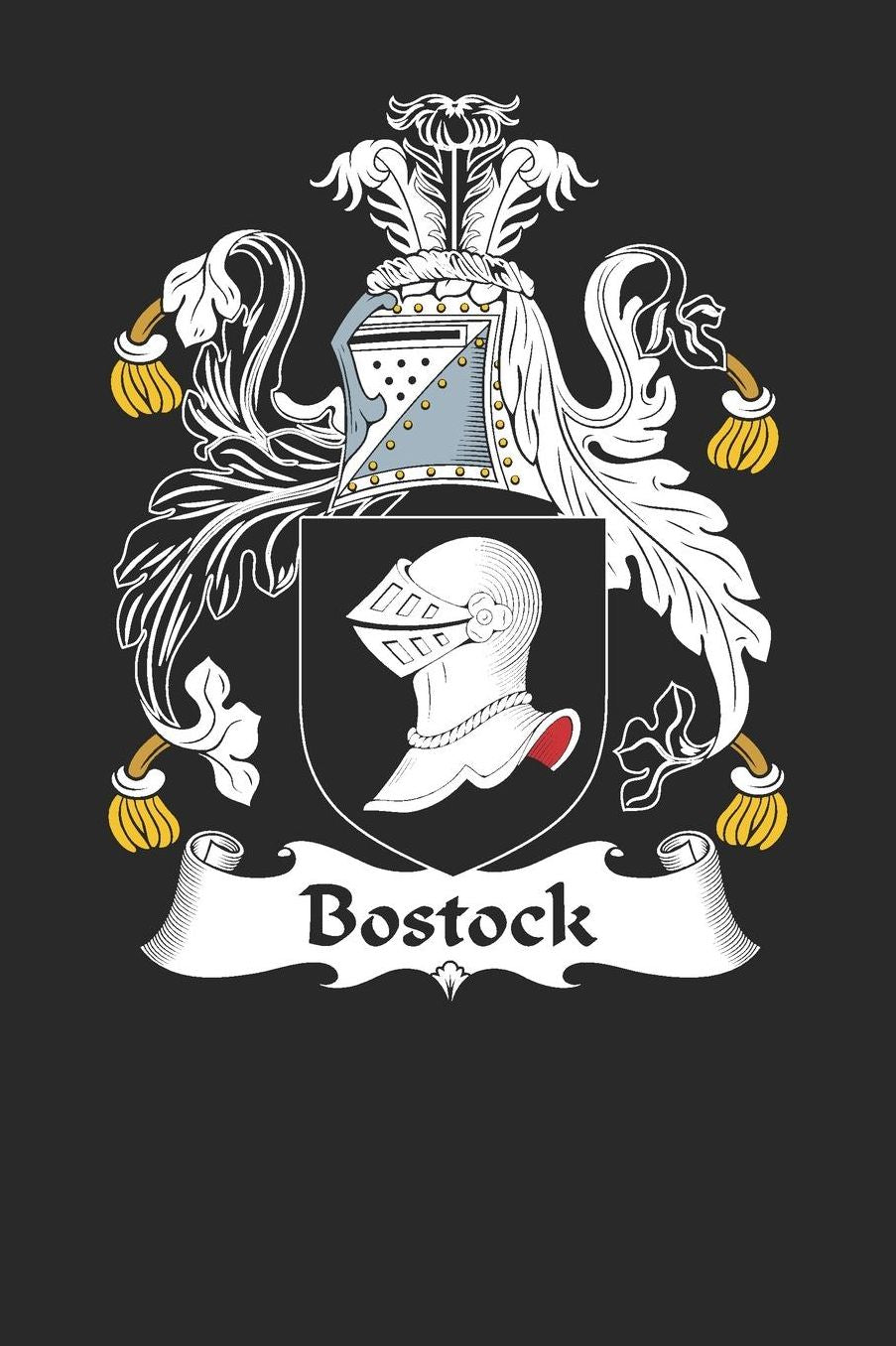 Bostock: Bostock Coat of Arms and Family Crest Notebook Journal (6 x 9 - 100 pages)