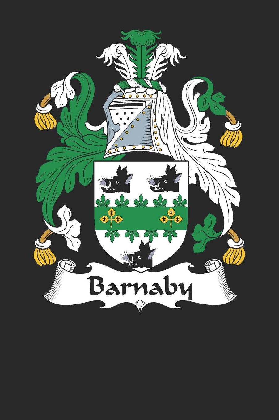 Barnaby: Barnaby Coat of Arms and Family Crest Notebook Journal (6 x 9 - 100 pages)