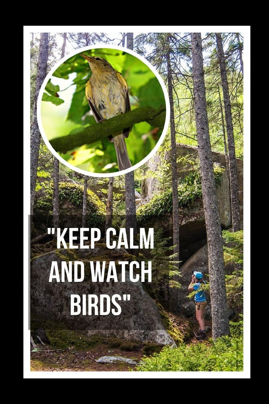 Keep Calm And Watch Birds: Bird Watching Novelty Lined Notebook / Journal To Write In Perfect Gift Item (6 x 9 inches)