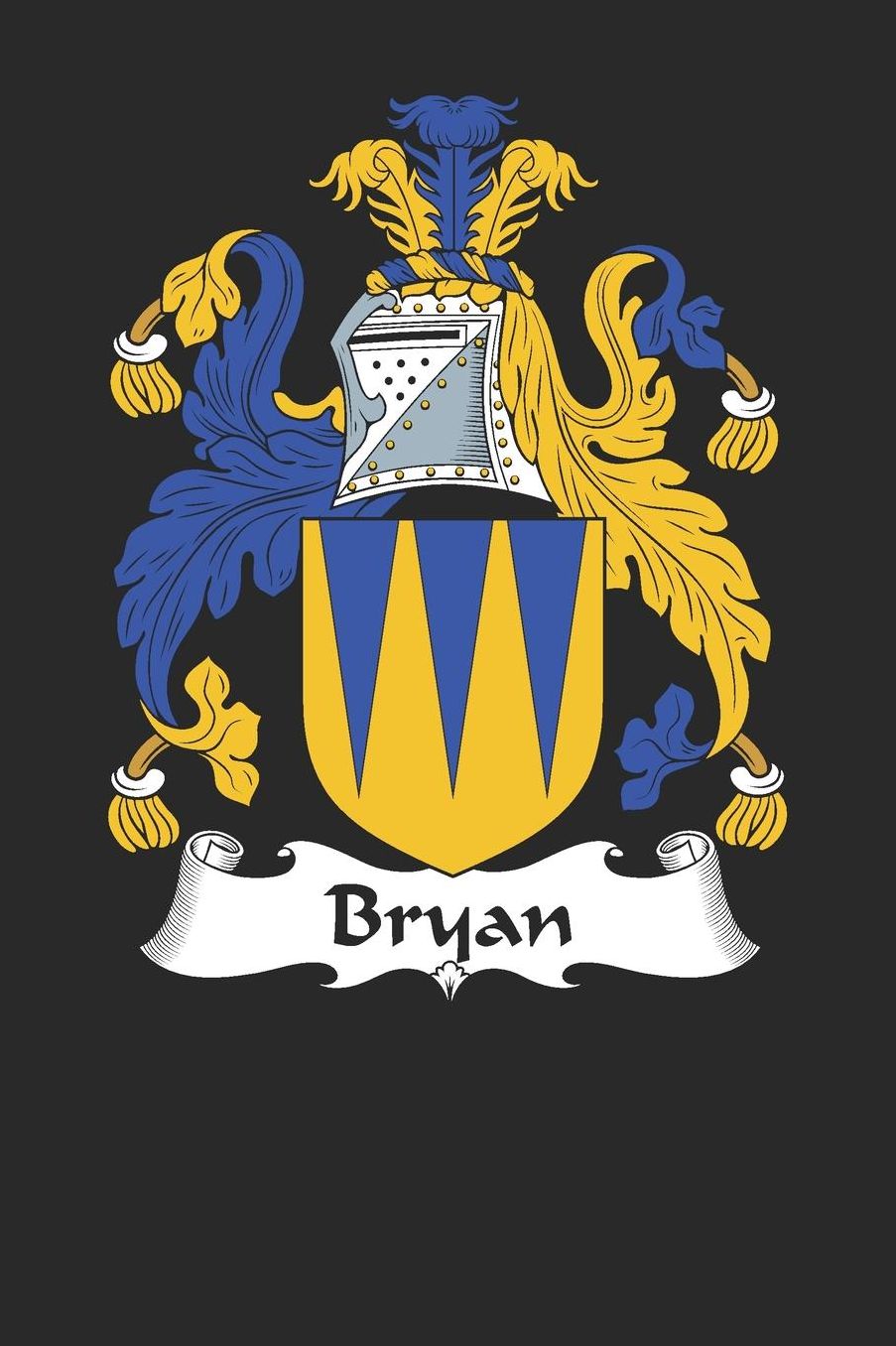 Bryan: Bryan Coat of Arms and Family Crest Notebook Journal (6 x 9 - 100 pages)