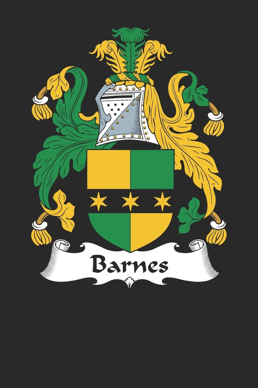 Barnes: Barnes Coat of Arms and Family Crest Notebook Journal (6 x 9 - 100 pages)