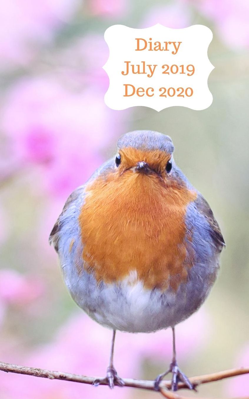 Diary July 2019 Dec 2020: 5x8 pocket size, week to a page 18 month diary. Space for notes and to do list on each page. Perfect for teachers, students and small business owners. Spring robin design