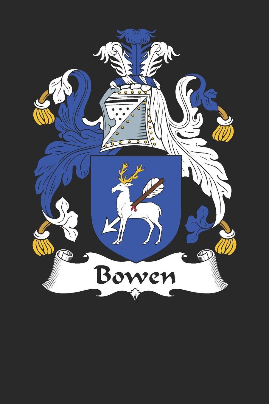 Bowen: Bowen Coat of Arms and Family Crest Notebook Journal (6 x 9 - 100 pages)