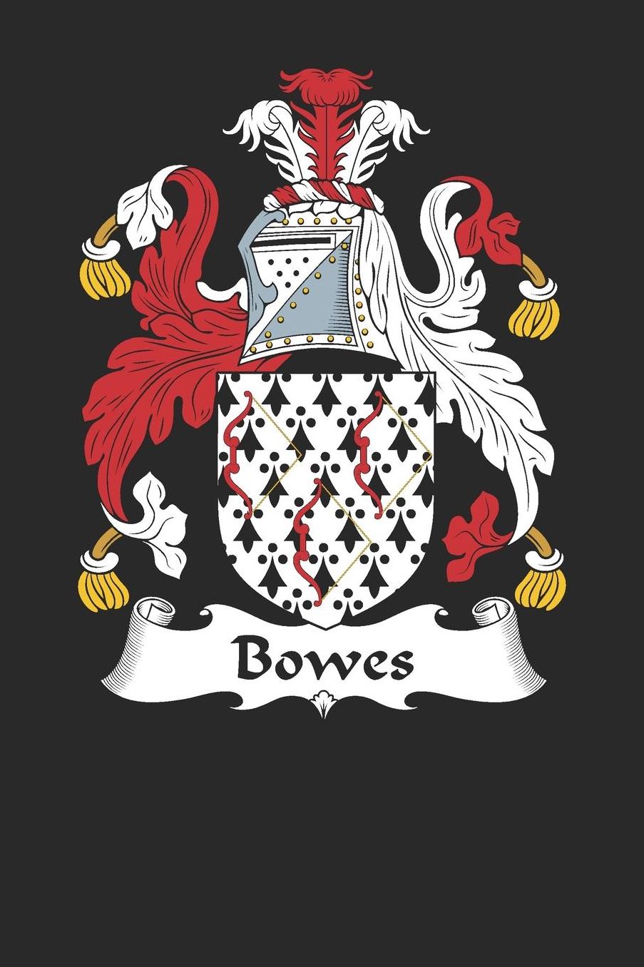 Bowes: Bowes Coat of Arms and Family Crest Notebook Journal (6 x 9 - 100 pages)