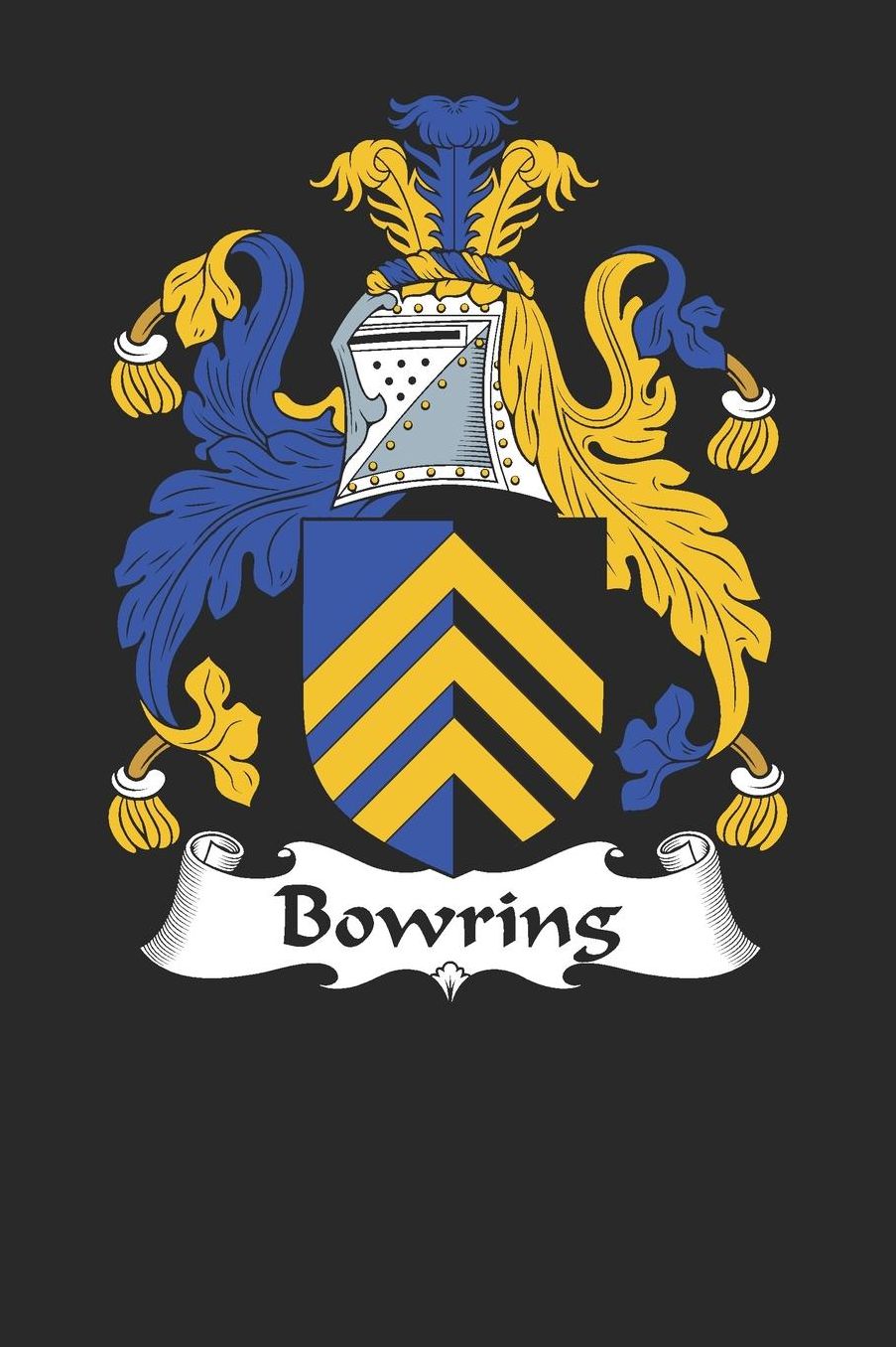 Bowring: Bowring Coat of Arms and Family Crest Notebook Journal (6 x 9 - 100 pages)