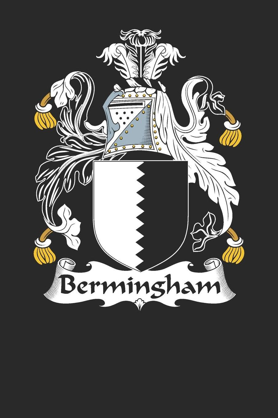 Bermingham: Bermingham Coat of Arms and Family Crest Notebook Journal (6 x 9 - 100 pages)