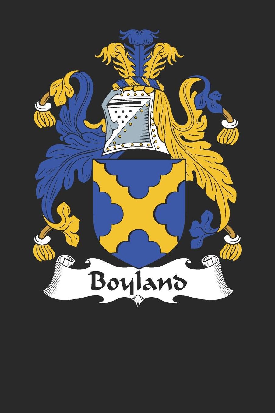 Boyland: Boyland Coat of Arms and Family Crest Notebook Journal (6 x 9 - 100 pages)