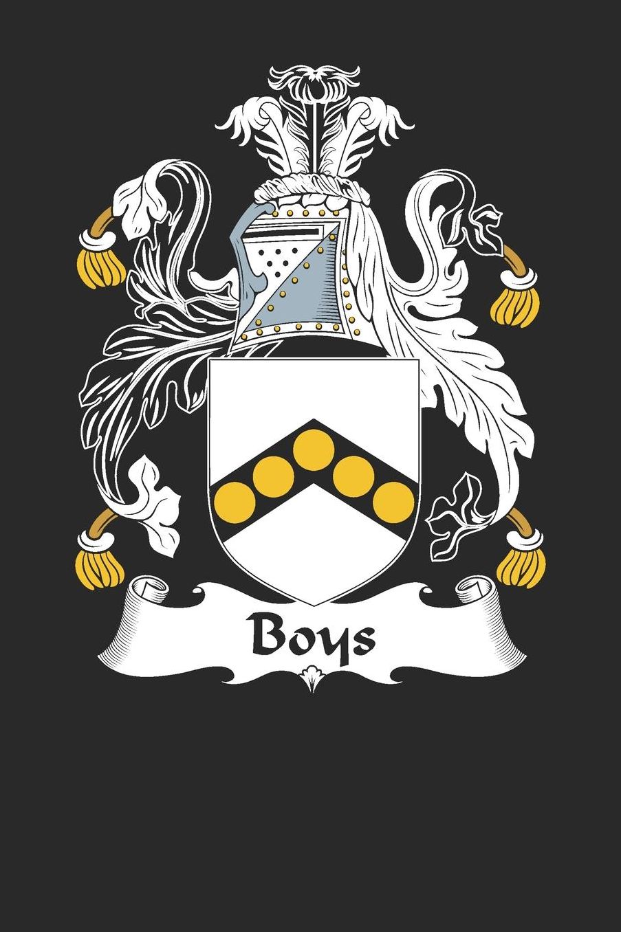 Boys: Boys Coat of Arms and Family Crest Notebook Journal (6 x 9 - 100 pages)
