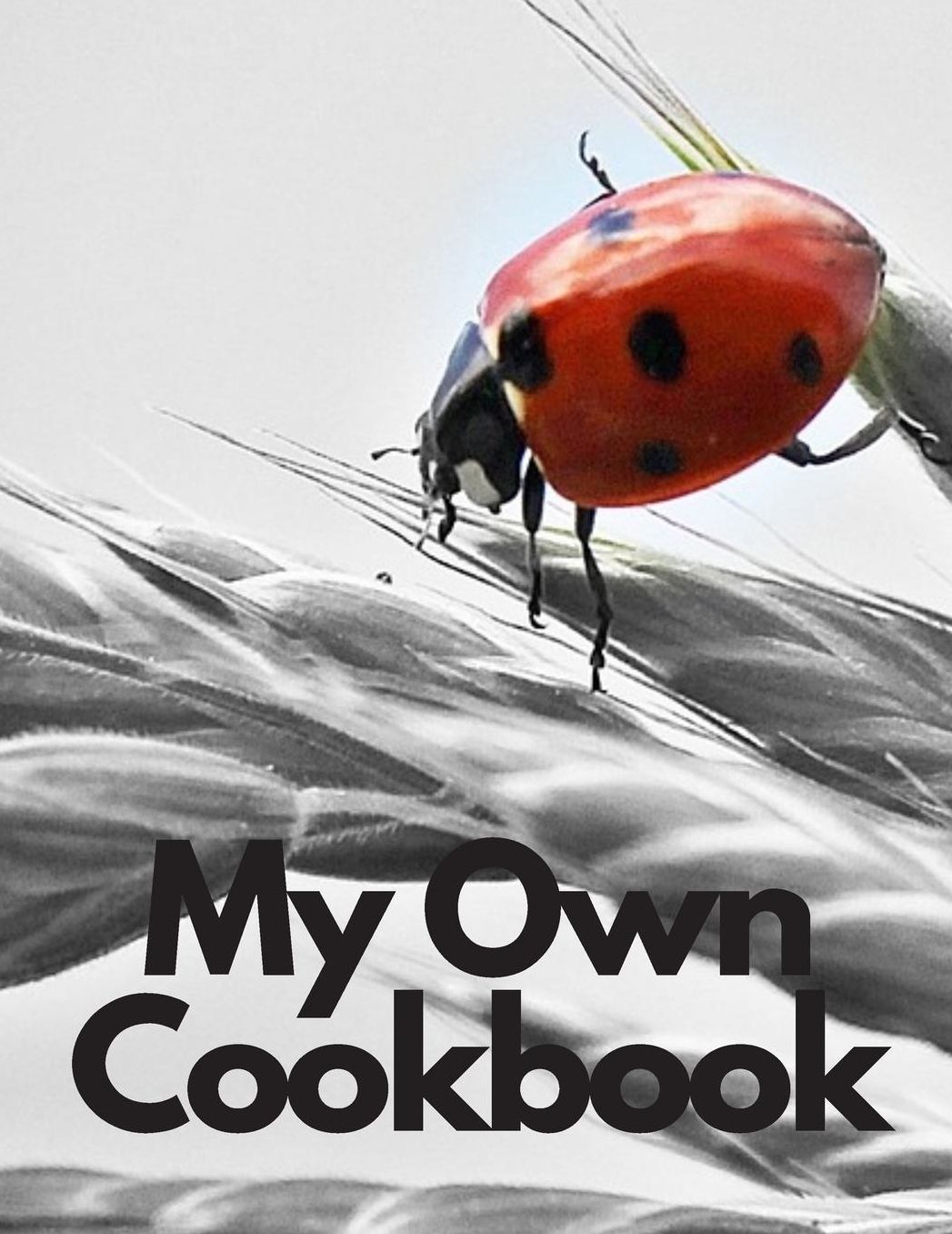 My Own Cookbook: Personal Baking Cooking Organizer Journal for Your Home Kitchen Recipes; 110 Pages