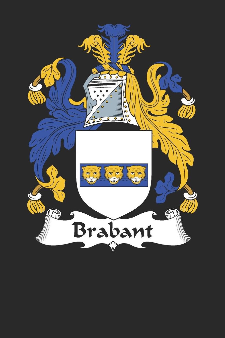 Brabant: Brabant Coat of Arms and Family Crest Notebook Journal (6 x 9 - 100 pages)