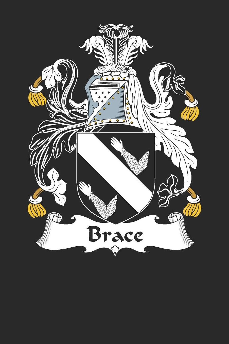Brace: Brace Coat of Arms and Family Crest Notebook Journal (6 x 9 - 100 pages)