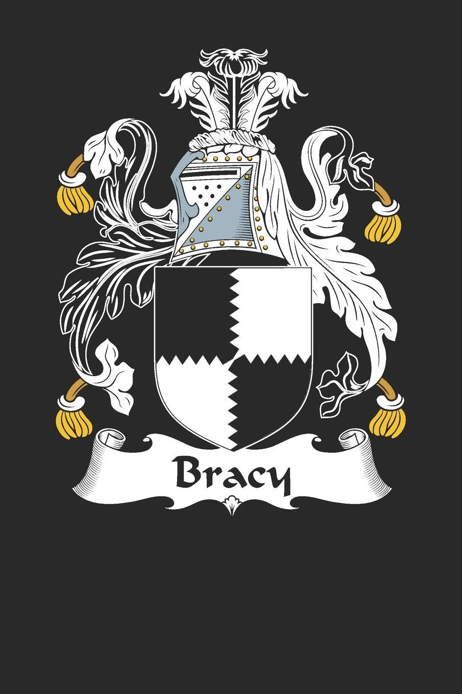 Bracy: Bracy Coat of Arms and Family Crest Notebook Journal (6 x 9 - 100 pages)