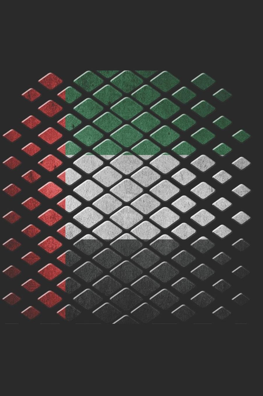 Arab Emirates Notebook: Arab Emirates Flag Notebook, Travel Journal to write in, College Ruled Journey Diary
