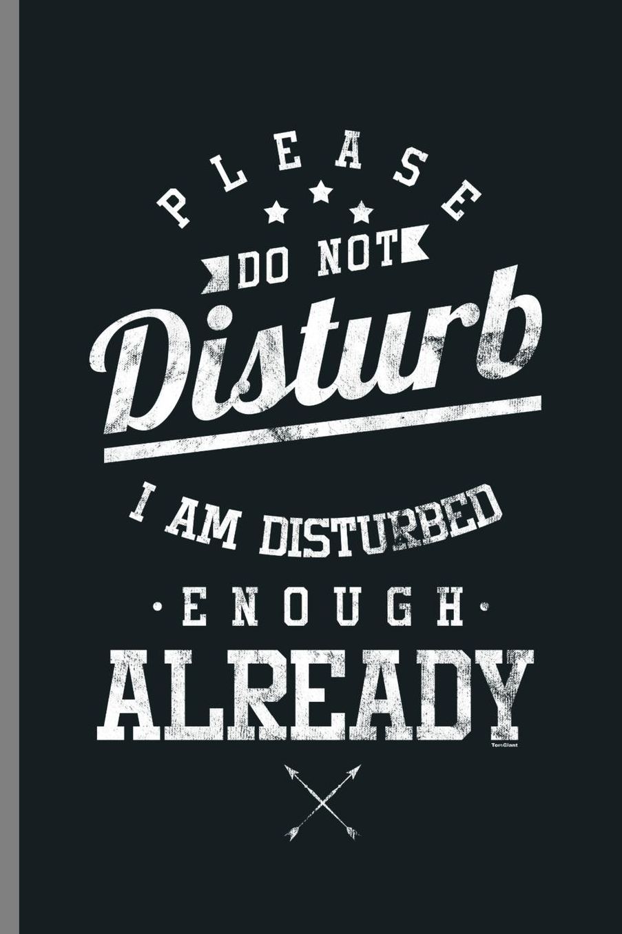 Please Do not Disturb I am Disturbed enough Already: Please Do Not Disturb Funny Hilarious Witty Statement Gifts (6x9) Lined notebook Journal to write in