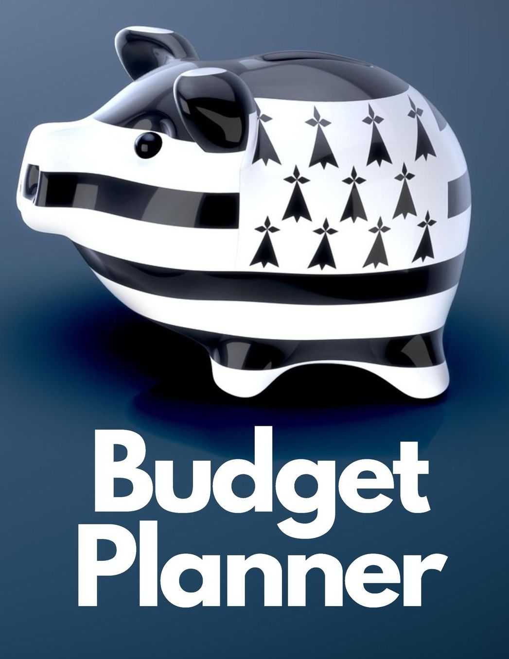 Budget Planner: Personal Finance Organizer Budget Planner daily Monthly & Yearly Bodgeting Calendar for Expences Money Debt and Bills Tracker Undated